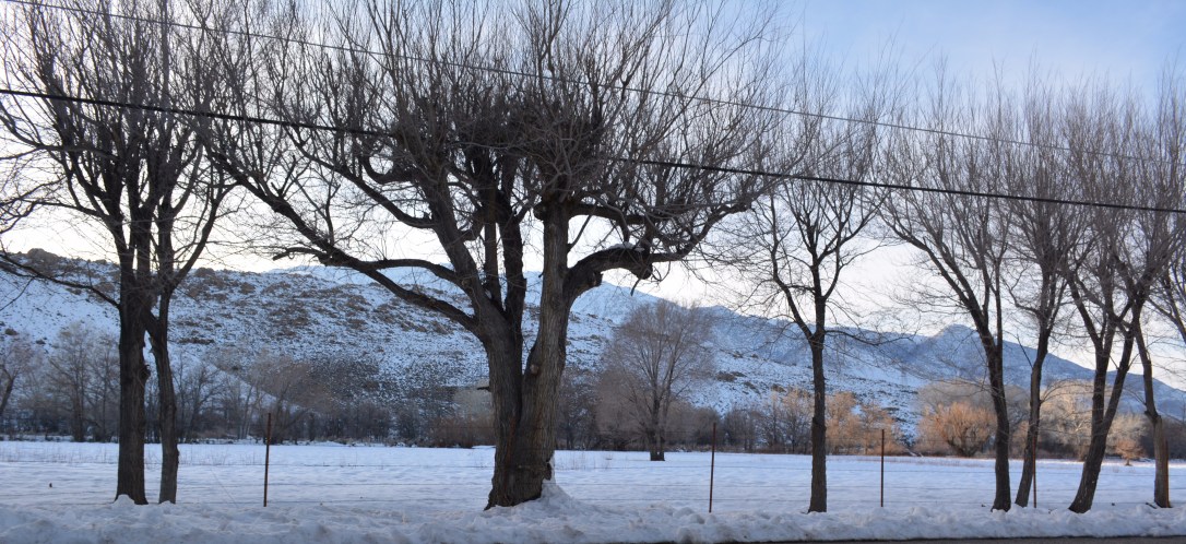 KAUAI HAWAII MARCH 2017 021