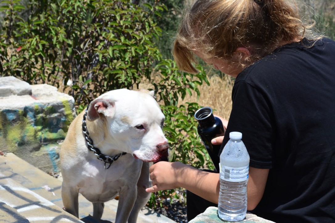 Jewels & Bowz 05.30.2016