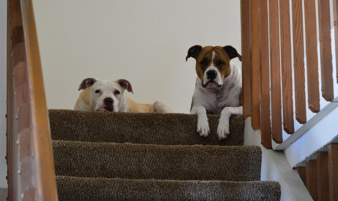 Reconcile Photos_1094