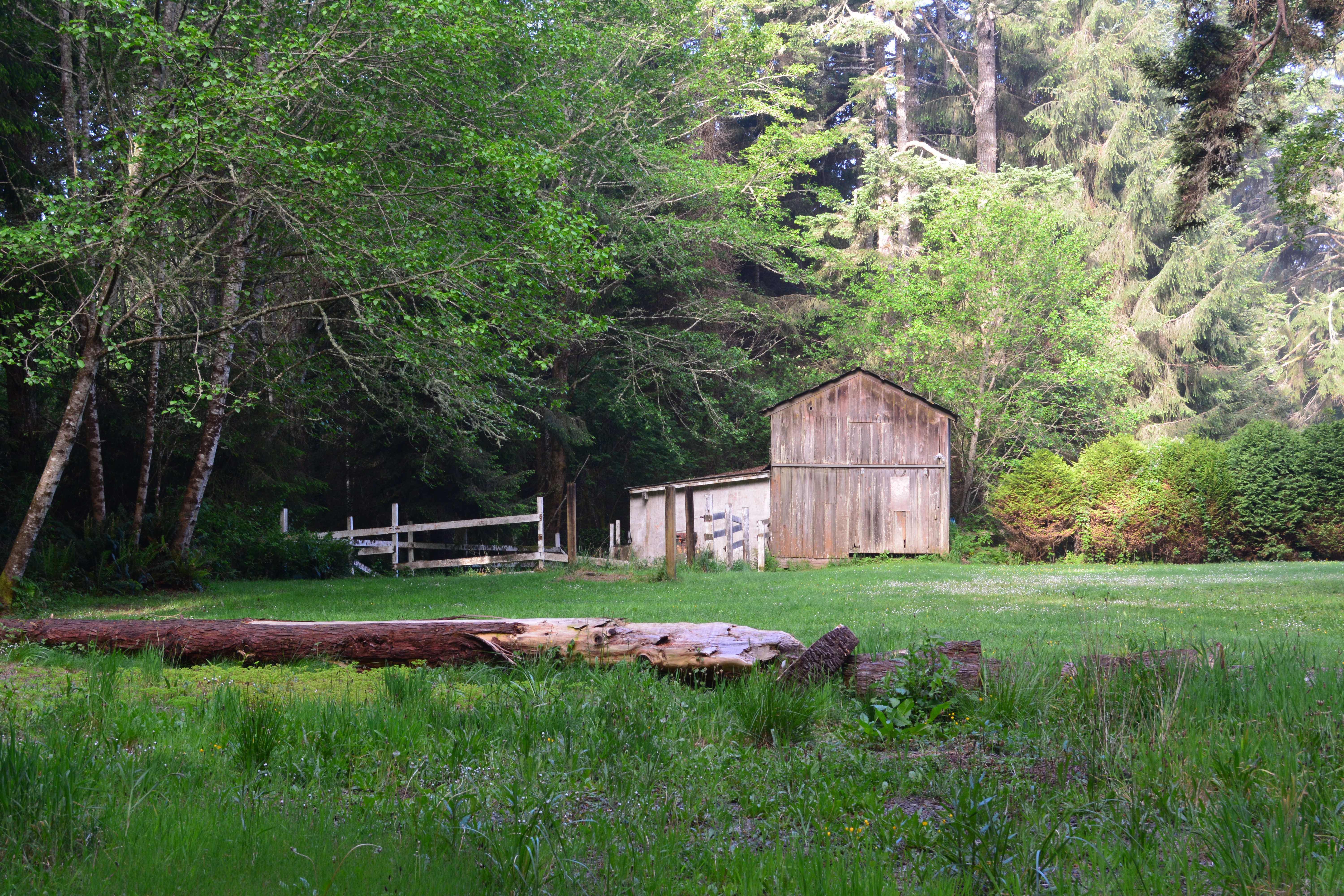 Reconcile Photos_1918